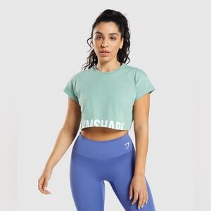 Gymshark Fraction Crop Top - Small